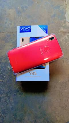vivo