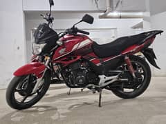 Honda CBF150 2022 (8th month)