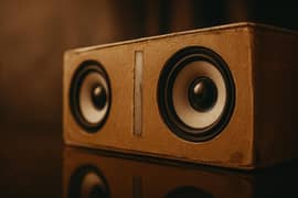 Homemade Bluetooth speaker