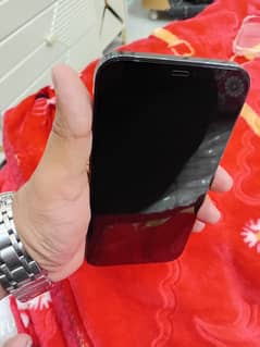 12pro