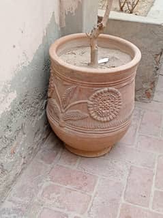 big pot