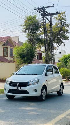 CULTUS 2021  TOTAL ORIGINAL  0300/67/084/23
