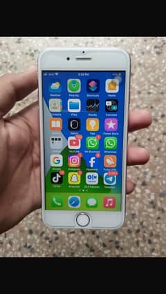iPhone