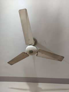ceiling