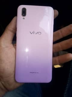 vivo