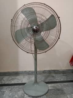 Fan