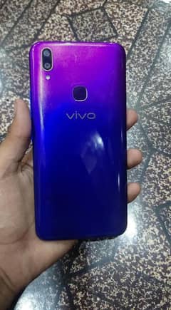 vivo