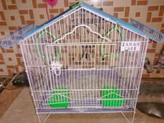 Bird Iron Cage with Plastic tray and multiple Options