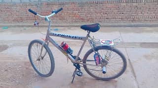 Phoenix WhatsApp no 03180523472