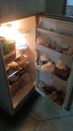 Fridge