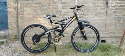 phonix large  size cycle