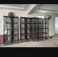 cages for birds