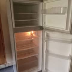 PEL 6400  Door Fridge – Excellent Condition, Fast Cooling