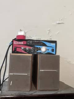 Sony speaker  with local amplifier
