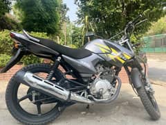 Yamaha VBR 125G 2019