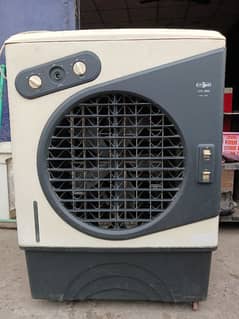 Cooler