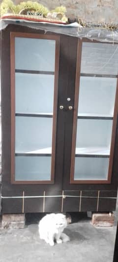 brand new shocase