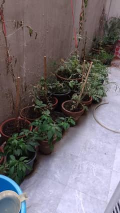 25×40