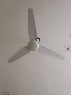 AC fan for sale