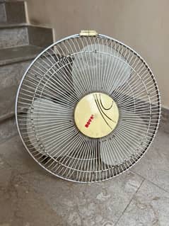 Royal fan