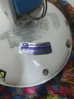 Pak Fan 56" Inches Fan For Sell
