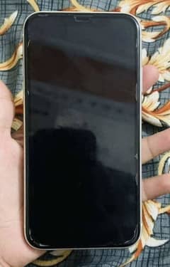 Iphone 11 Pta Approved