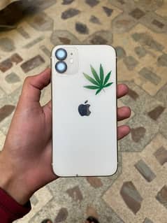 iPhone 11 Jv