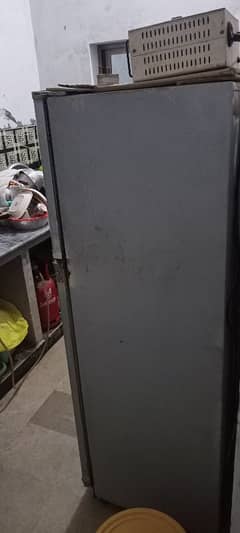 Singer Fridge