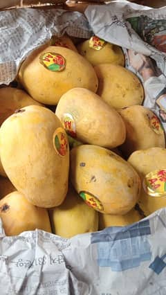 MANGOES
