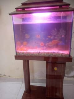 AQUARIUM