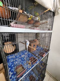 Bird Cage Large With Parrots