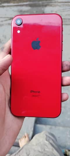 iPhone XR