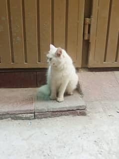 For sale