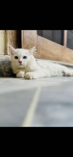 For