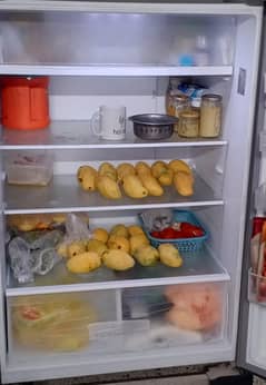 PANASONIC FRIDGE (20 cubic feet) NR - BC752DS
