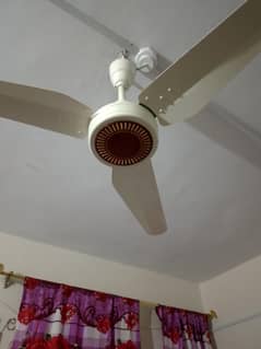 pak fan 30watts inverter