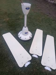 Ceiling Fan