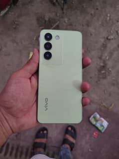 vivo