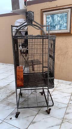 birds cage (pinjra)