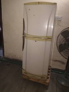 PEL FRIDGE