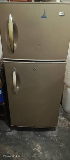 Haier refrigerator contact 03144362059