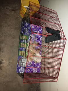 new cage 2 days use hua hay argent sale harry uup