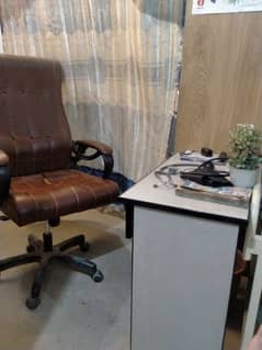LHV ladi  Doctor