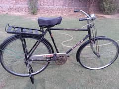 cycle