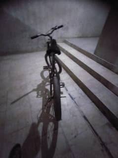 acchi cycle Hai Morgan ki
