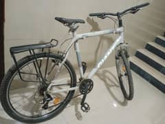 Giant Bicycle