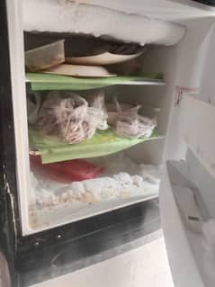 orient refrigerator