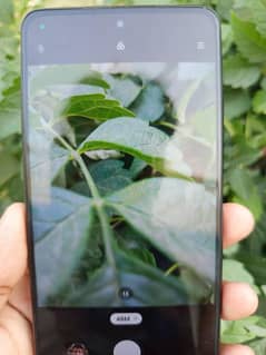 POCO X3 pro Full box offcial Pta Approved