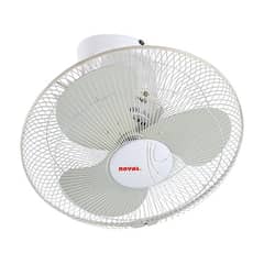 Royal Circomatic fan