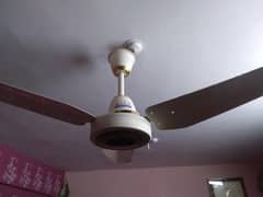 80 Watts Celling fan Available For Sale